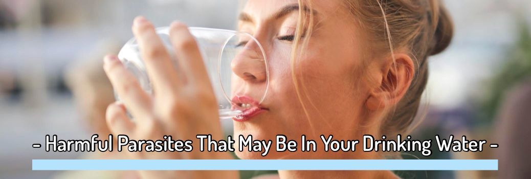 Learn About Harmful Parasites That May Be In Your Drinking Water Ways To Prevent & Remove Them